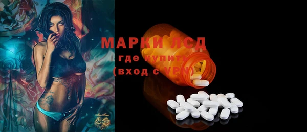 ECSTASY Богородицк