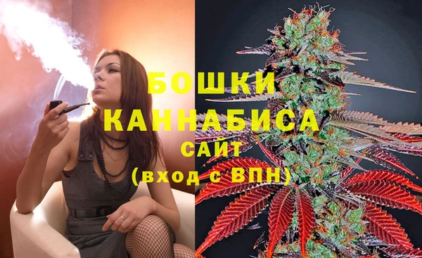 ECSTASY Богородицк