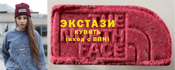 ECSTASY Богородицк